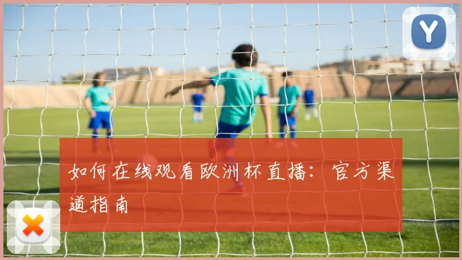 如何在线观看欧洲杯直播：官方渠道指南
